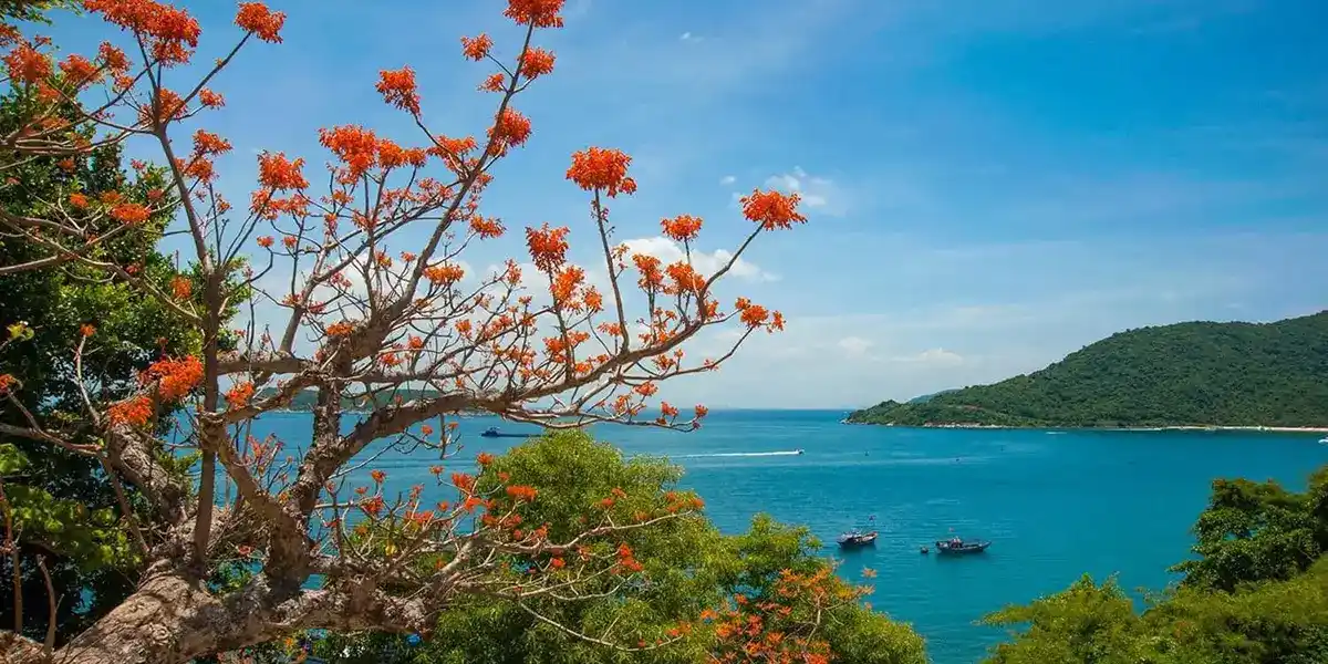 Cu Lao Cham SafeCarDaNang Cu Lao Cham 1