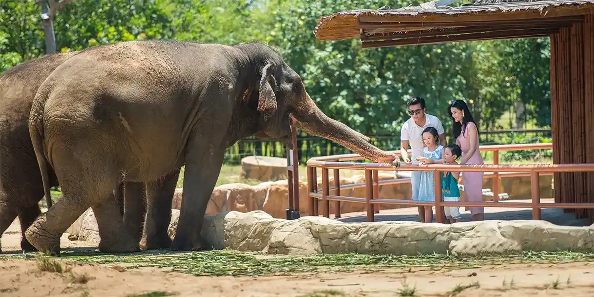 River Safari VinWonders Nam Hội An