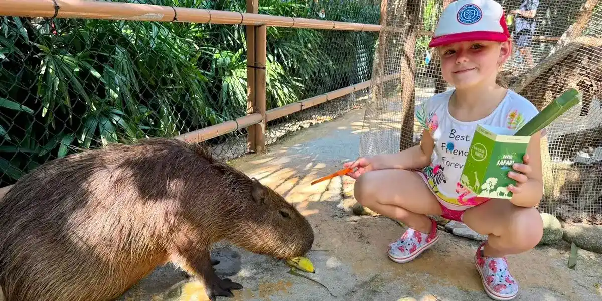 Trò chơi mạo hiểm tại VinWonders